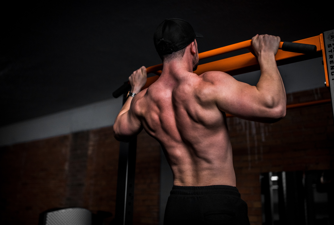 Body Sculptors