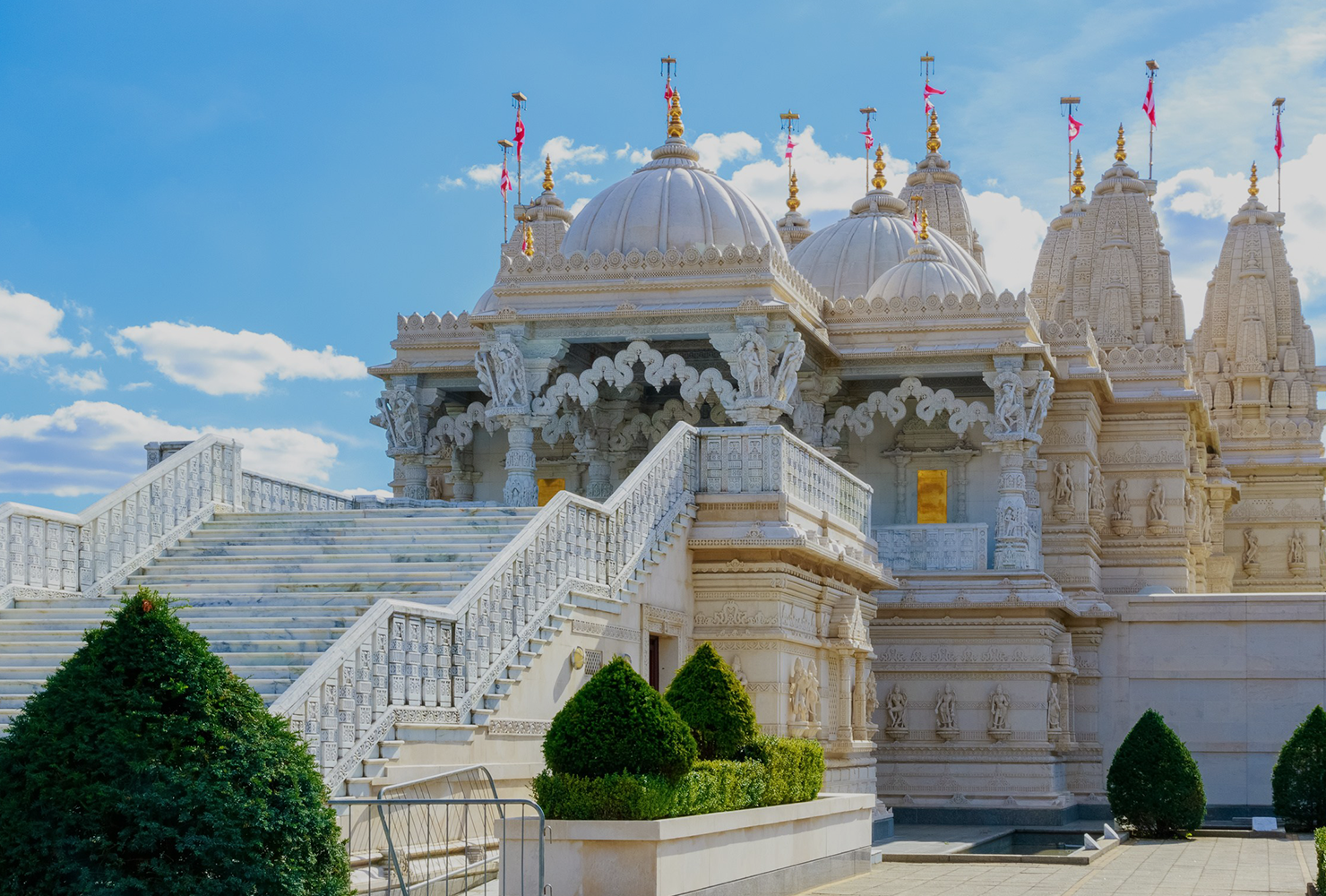 Humming Travel Luggage