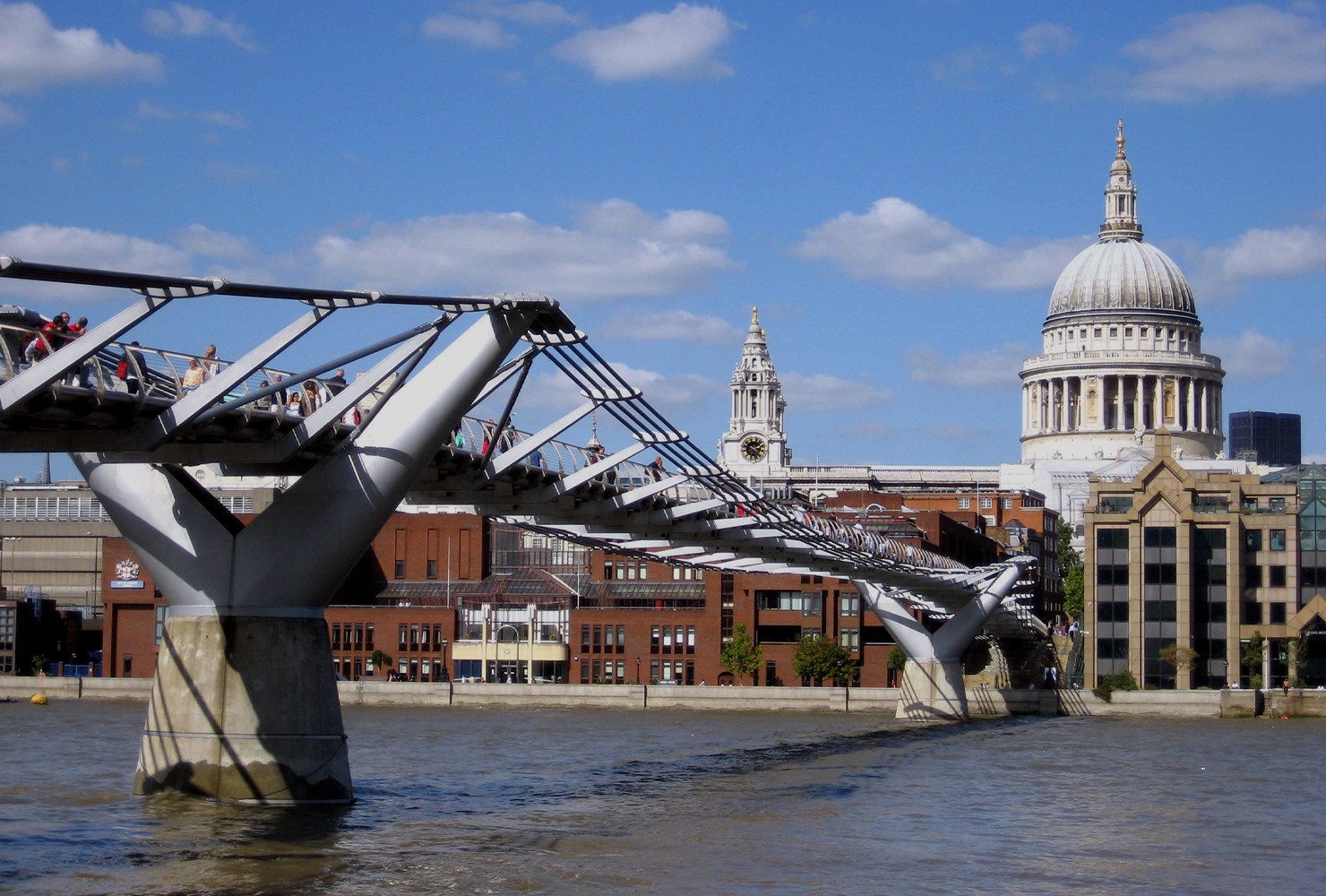 Pellentesque pharetra